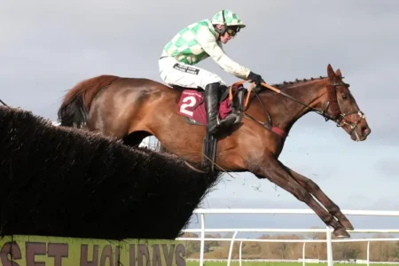 Grand National Horse Celebre d'Allen Dies After Collapsing Post Race