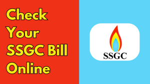 How to Check Gas Bill Online in Pakistan –