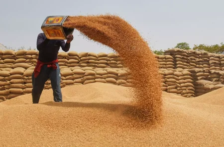 Punjab CM Approves Wheat Subsidy for 600,000 Farmers
