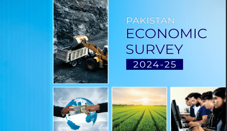 Pakistan Economic Survey 2024-25