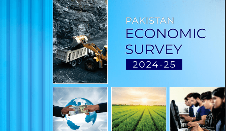 Pakistan Economic Survey 2024-25