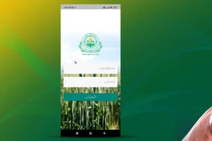 Punjab Land Records Authority Announces New Service Charges for 2025–26