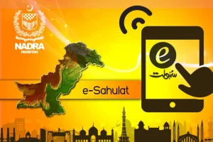 What Is E-Sahulat and How to Use It