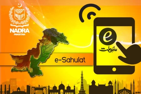What Is E-Sahulat and How to Use It