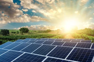 Sindh Government Free Solar Panel Scheme 2025