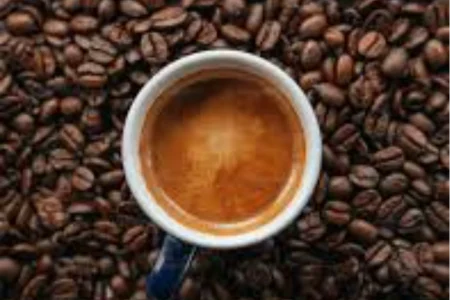 10 Best Cafes in Mardan A Complete Guide for Food & Coffee Lovers