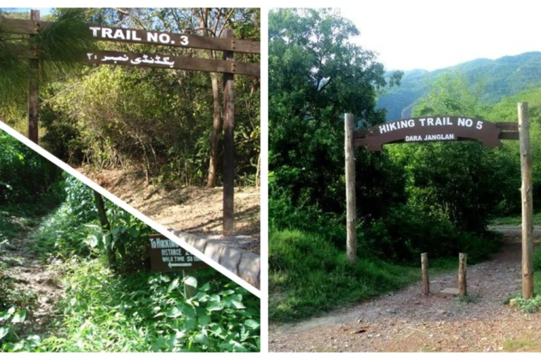 10 Best Hiking Trails in Islamabad