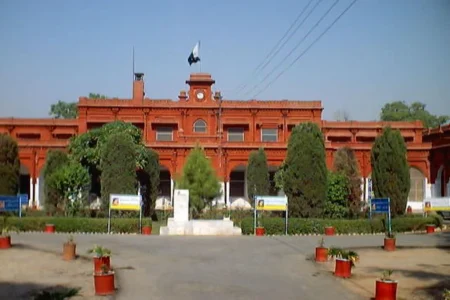 10 Best Universities in Faisalabad for Higher Education