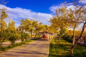 10 Famous Parks in Abbottabad for Families