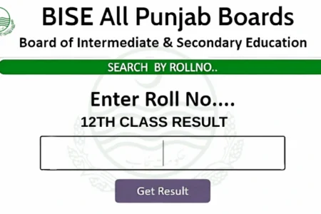 All BISE Punjab Boards 12th Class Result 2025 – Date, Time, and How to Check