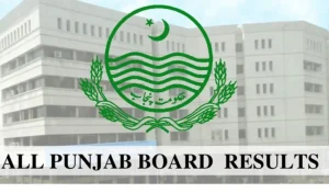 How to Check Punjab Boards 11th Class Result 2025