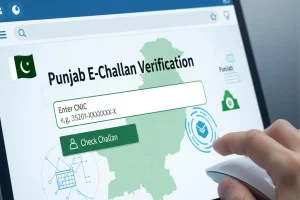 How to Check E-Challan by CNIC in Punjab How to Check E-Challan by CNIC in Punjab Online