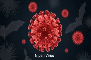 Nipah Virus Explained: Symptoms, Spread, Risk and Prevention Nipah Virus