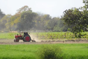 CM Punjab Launches Apna Khet, Apna Rozgar Announces