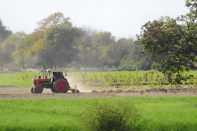 CM Punjab Launches Apna Khet, Apna Rozgar Announces