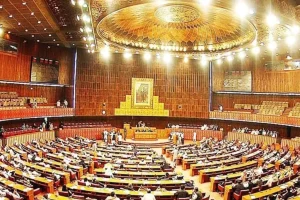 Pakistan Citizenship Amendment Bill 2025