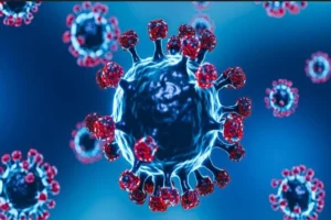 Cicada COVID variant