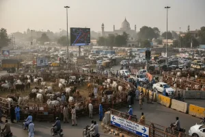 Know About Finalized Traffic Plan for Lahore’s Cattle Markets Lahore Traffic Plan Cattle Markets