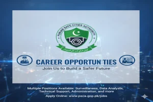 Punjab Safe Cities Authority Jobs