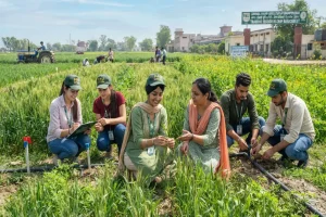 Punjab Agriculture Internship Program