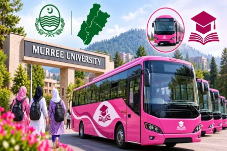 Punjab Government Launches Specialized Murree University Pink Buses Initiative Murree University Pink Buses Initiative