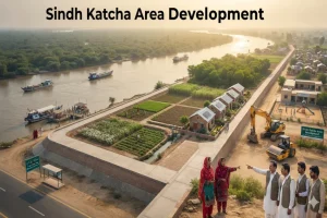 Sindh Katcha Area Development